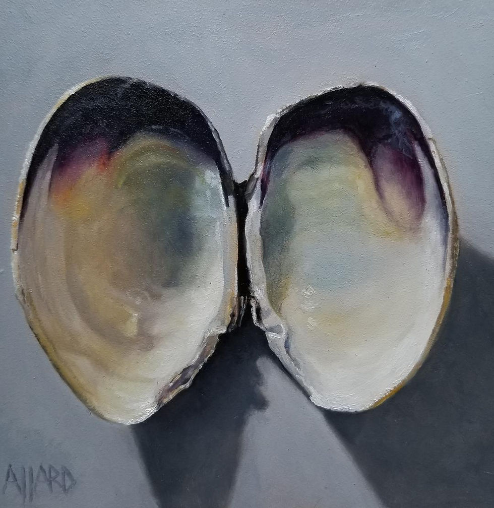 Clam Shell Still Life