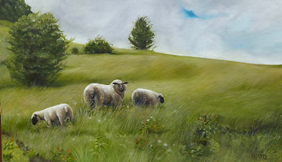 Oil on Canvas - Sheep