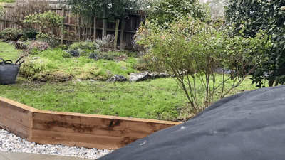 petal gardening video 2.gif