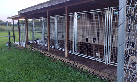 kennel 2.jpg