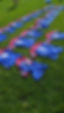 PXL_20230916_190350694.MP.jpg