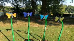 Butterflies (New!)