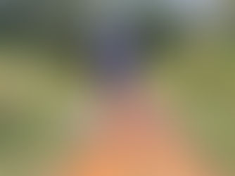 One Mile Habit - The HUMEthod Way