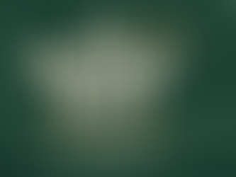 The Monday Reset: Start Your Week Right (No Matter the Weekend)