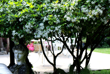 Psychotherapy Intervention for Narcissistic Abuse