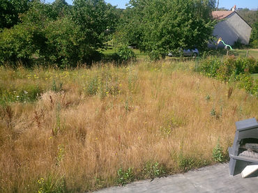 le jardin aux oiseaux