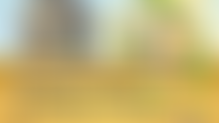 老宅延壽顧問服務,名額有限,早申請早享受