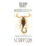 scorpian.jpeg