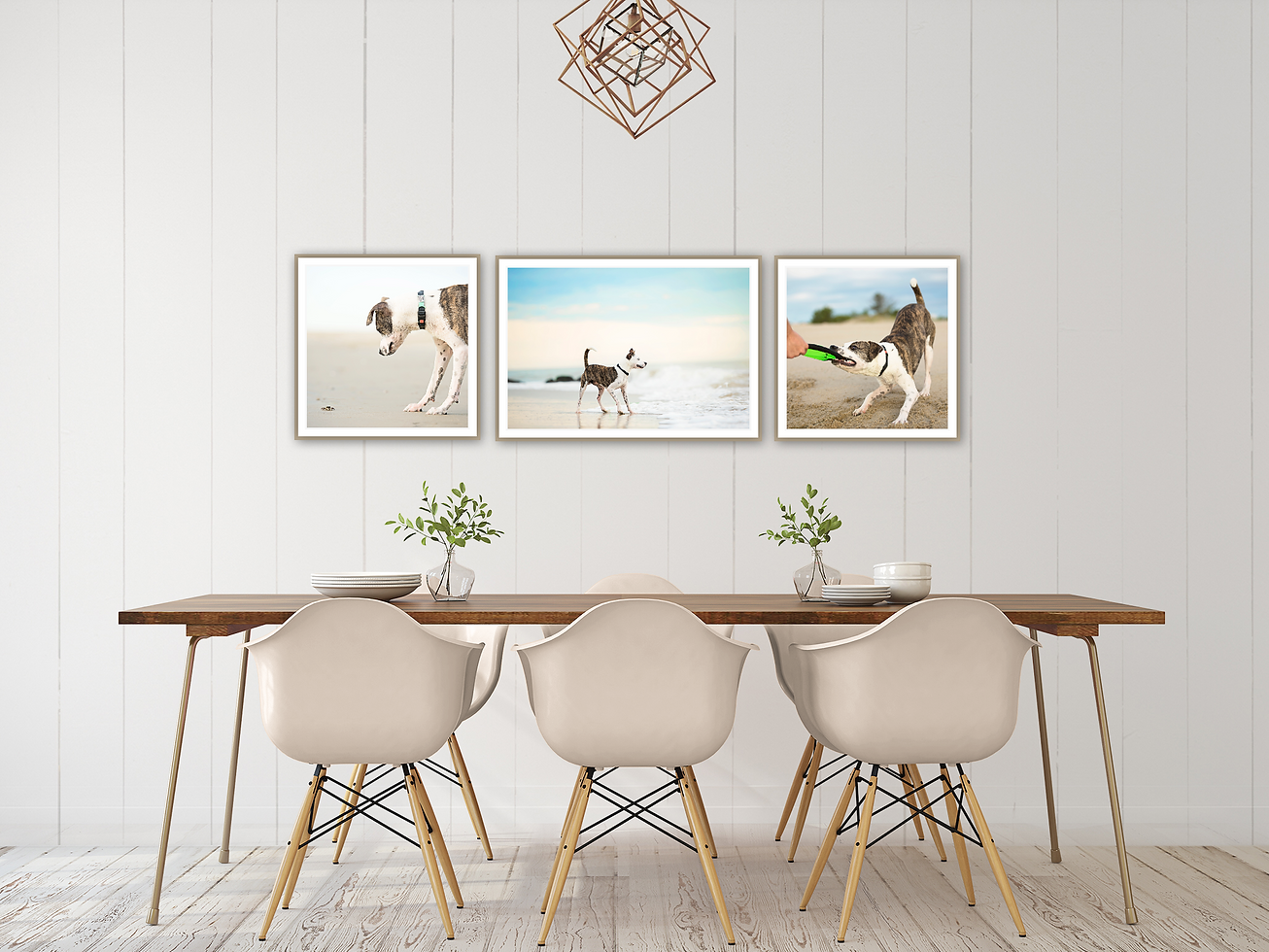 Shoot&Sell (6).png
