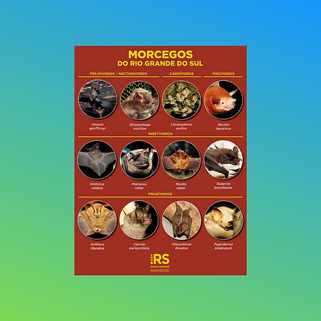 morcegos RS.png