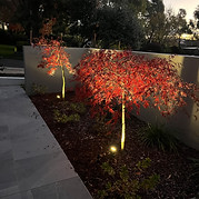 Outdoor lights