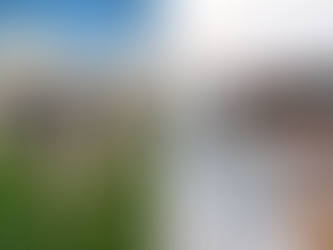 🧭 O Mundo Mudou: Da Vaca à Gestão Patrimonial Imobiliária