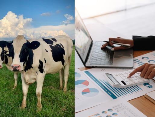 🧭 O Mundo Mudou: Da Vaca à Gestão Patrimonial Imobiliária