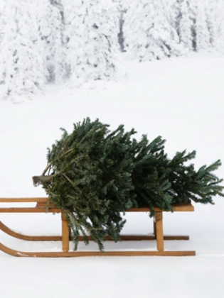 My Tips to survive Christmas if you are separated or divorced.