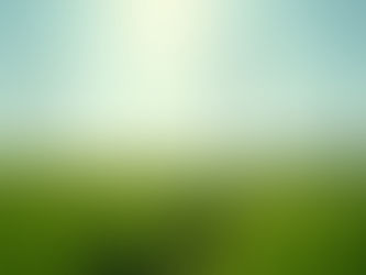 EcoVantage Support for your EcoVadis Assessment