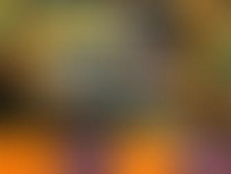 2年ぶりにやります。