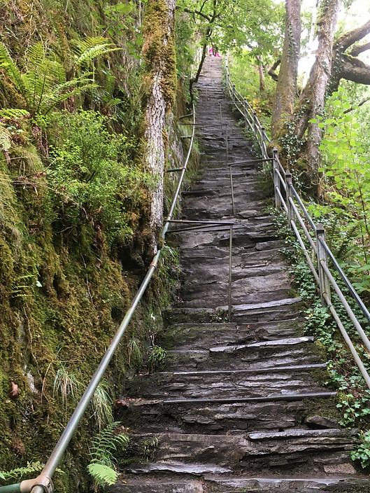 6DE715D4-93C4-4054-A318-DA86CB9D879C_edi