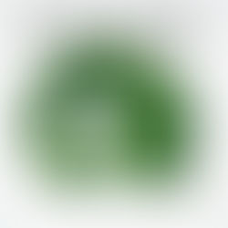 Rams Horn Edition 8 Sent