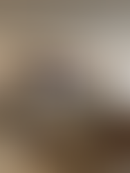 salon appartement renove avec bibliotheque murale sur mesure