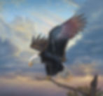 Thumbnail: Winged Glory Eagle Panel by Northcott