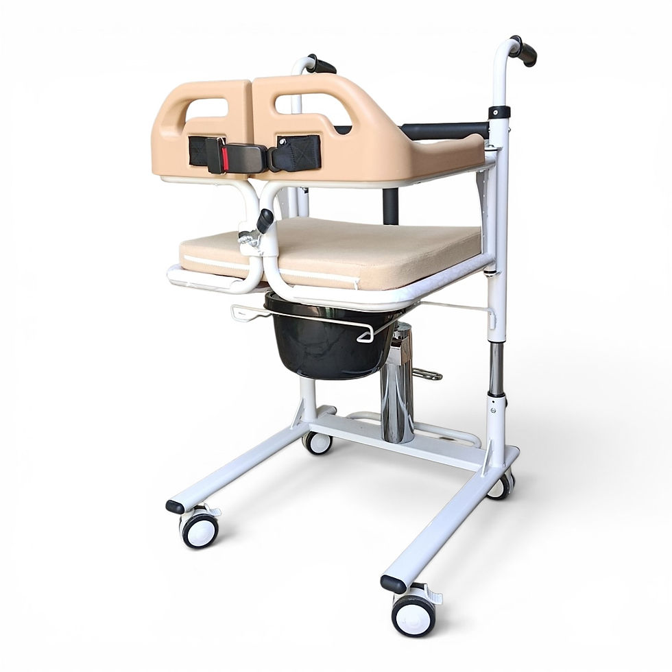 Miniatura: Silla de Transferencia