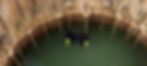 "An underwater view of the mechanized desilting machinery in operation at the IIT Kharagpur water harvesting plant, showing sediment removal."