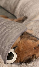 IMG_2193_edited.jpg