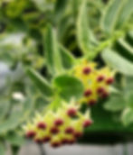 20250825_160851_edited.jpg