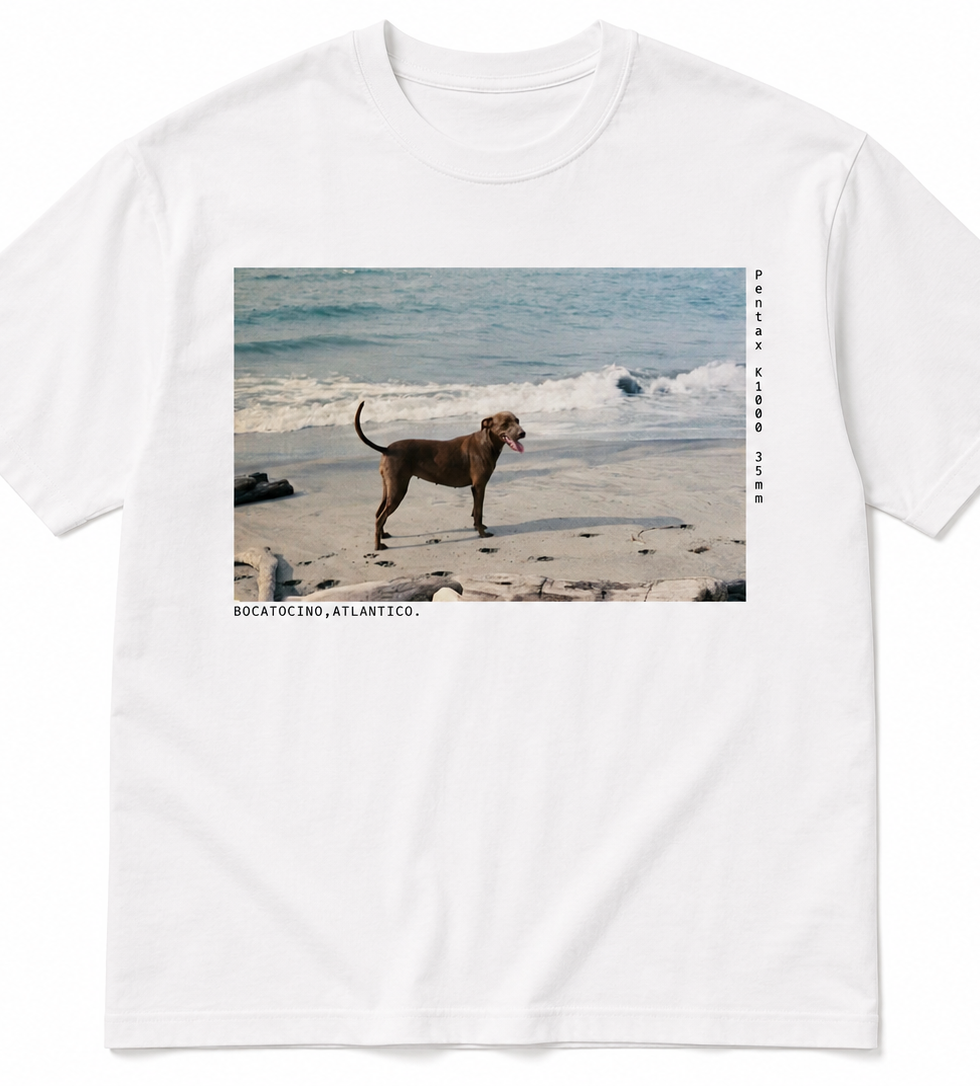 Bocatocino Perroeplaya