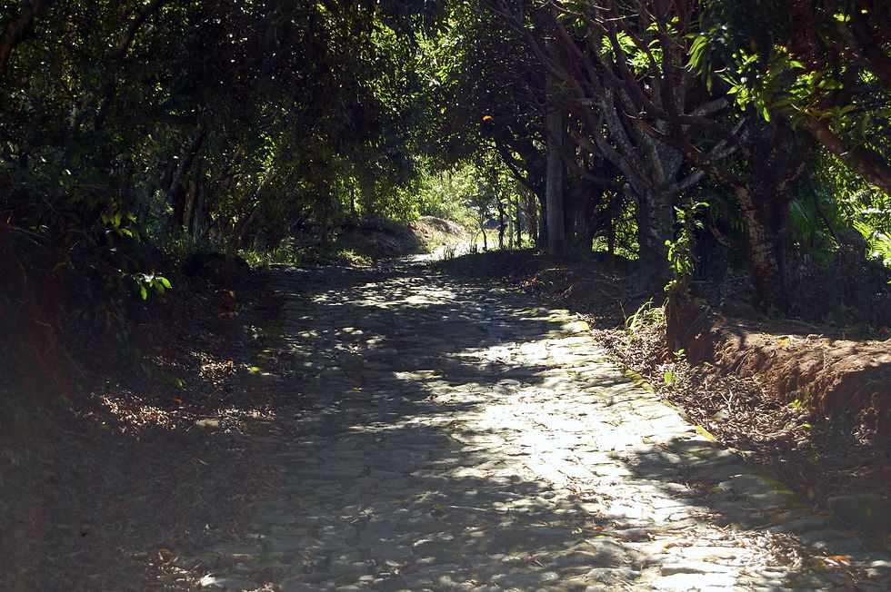 Caminho da Coragem