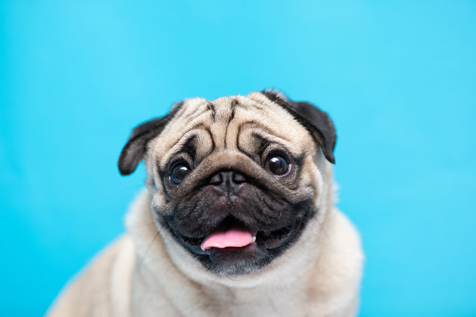 AdobeStock_304917677.jpeg