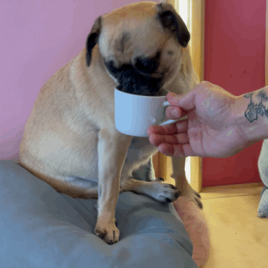 VideoToGif_GIF.GIF