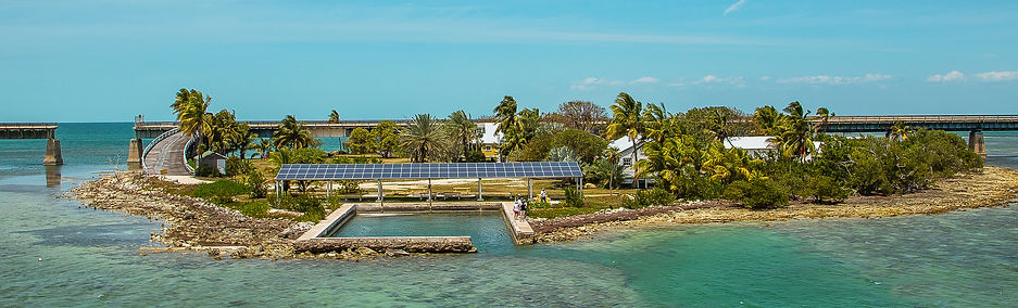private island concierge