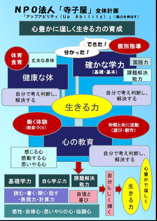 全体計画