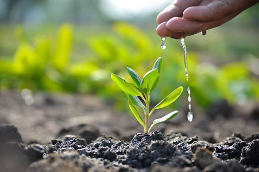 istockphoto-1248915720-612x612.jpg