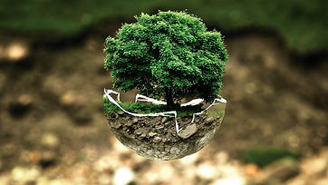 Environmental-protection.jpg