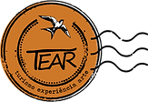Logo_TEAR-1.png