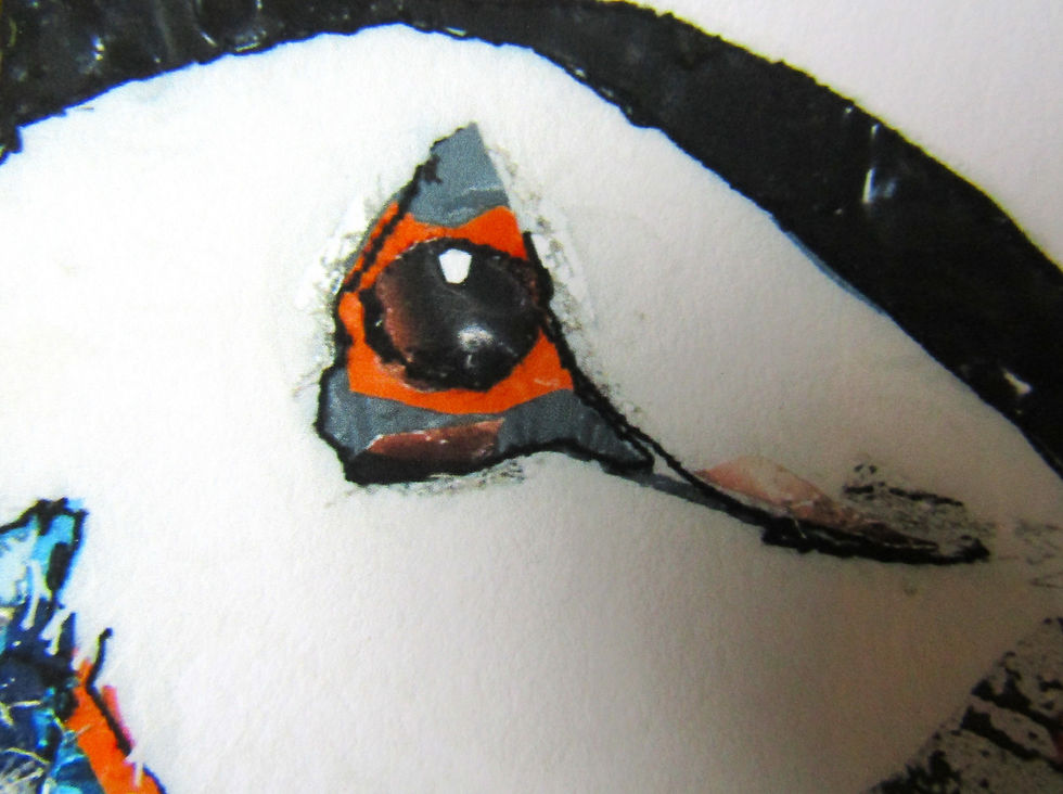 Thumbnail: Puffin with Catch of the Day Print (on mount board)