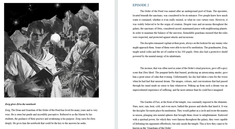 Stellzon Fantasy Novel Exert