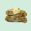 Thumbnail: White chocolate cookie