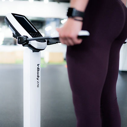 INBODY FITNESS ASSESSMENT IN ST. LOUIS