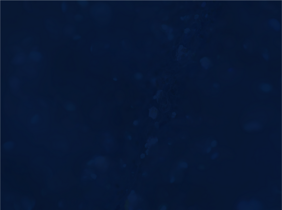 Recurso 1web.png