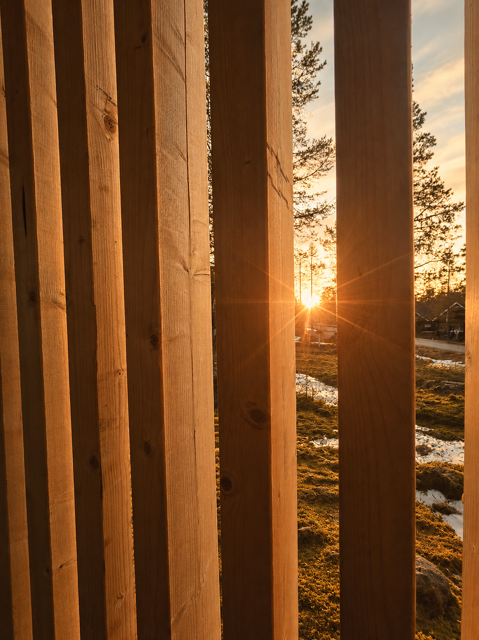 Holzlatten im goldenen Abendlicht.png