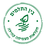 בין התלמים