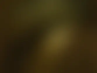 O Crocodilo Junguiano