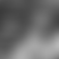 The Failed Revolution