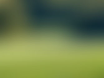 2026 Course Opening Schedule