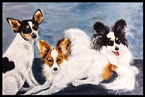 Jen Barr's Dogs.JPG