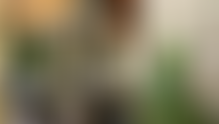 Allison Guilbault The Mentor for Empowering Women