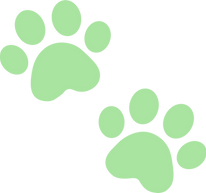 PAWS.png